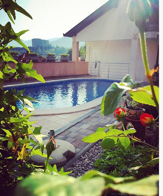 Poll with garden and terrace