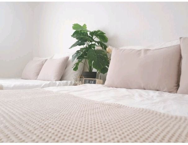 Two spacious beds are neatly arranged with soft, neutral bedding. Decorative pillows are placed at the head of each bed. A green potted plant adds a touch of nature to the room, contributing to a calming atmosphere.