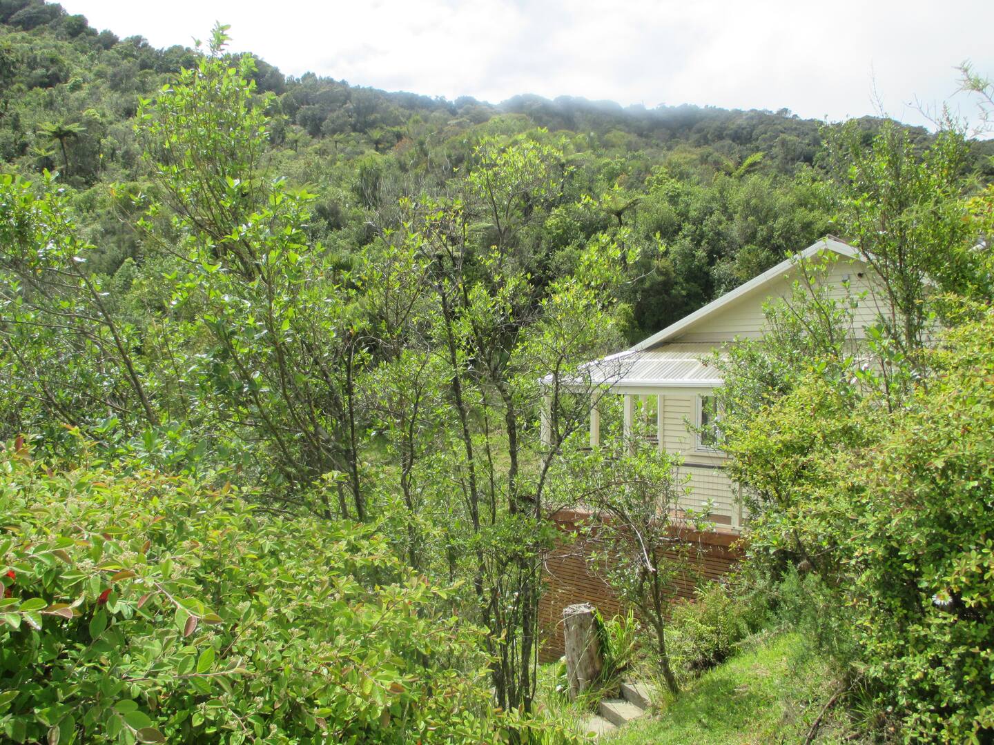 Bush House, Cobden 1