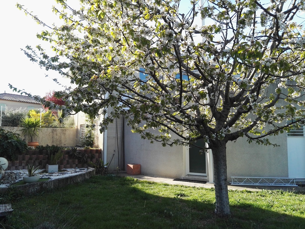 A flowering tree is prominently featured in the foreground, surrounded by an expansive grassy area. The modern exterior of a villa is visible in the background, with large windows allowing ample natural light. The setting is serene and well-maintained, contributing to a tranquil outdoor environment.