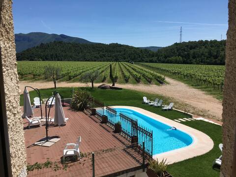 Ancient farmhouse in a wide vineyard - Richetto