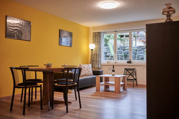 New renovated & cozy studio in a great location!