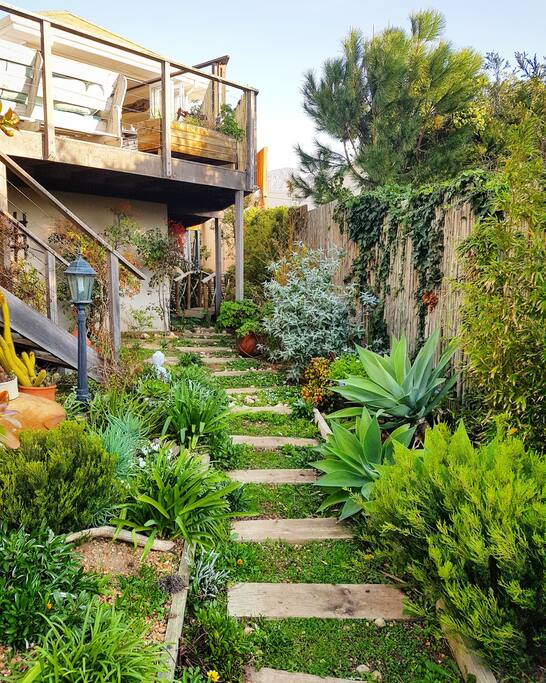 Pathway to flatlet through indigenous garden