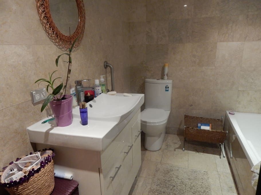 bathroom ( shower and bath cant be seen in this photo)