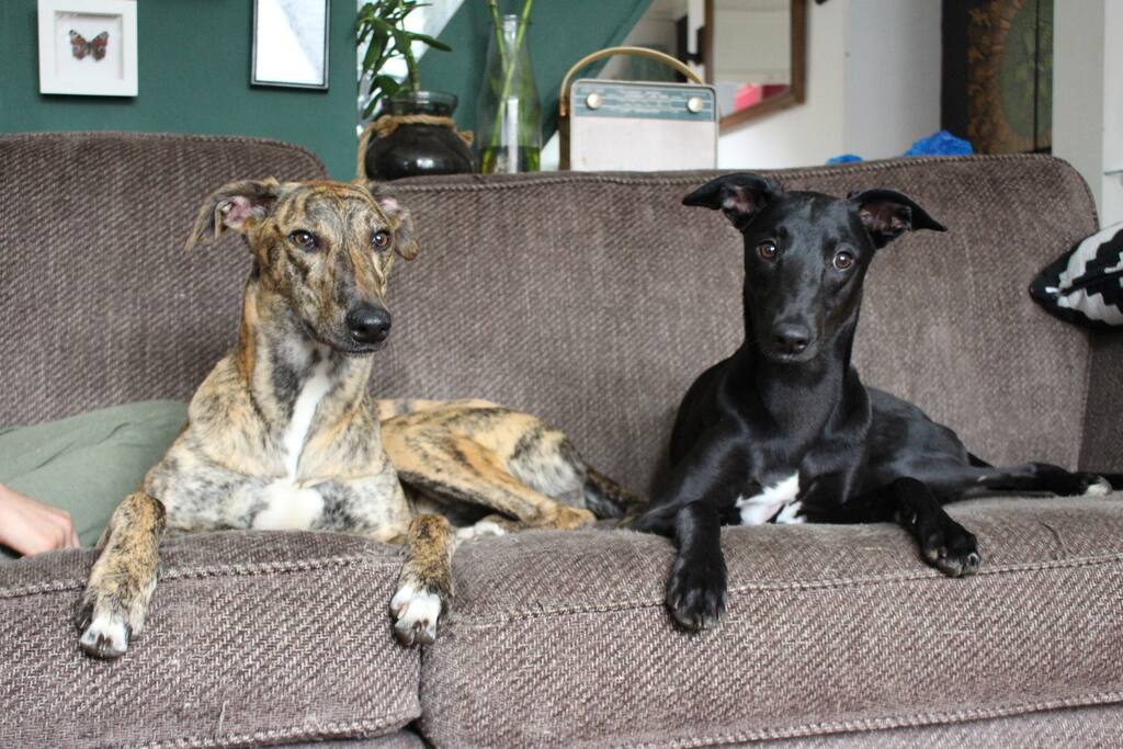Ruby and Winston