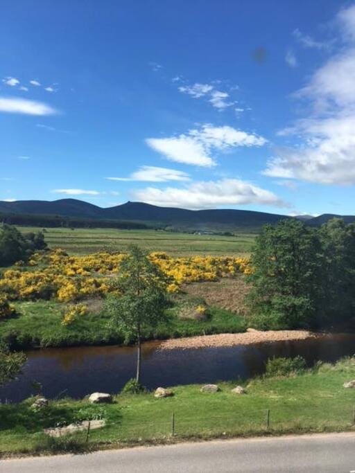 View from breakfast Room