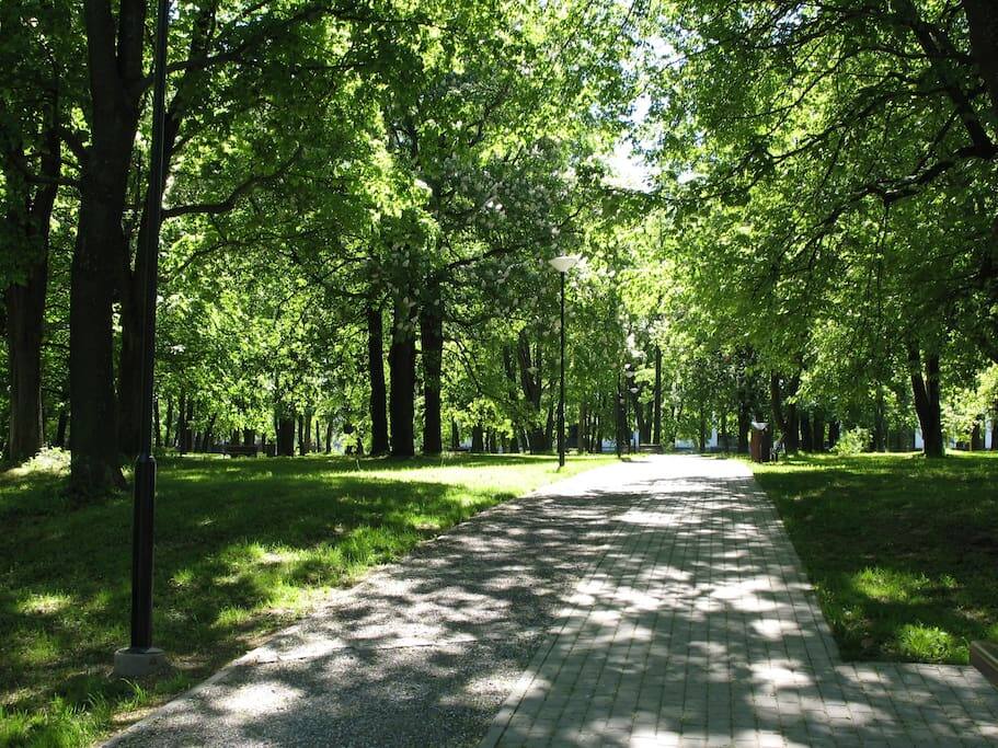 Kalamaja Park