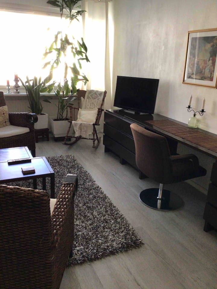 Keskustan  Vieressä Kaksio.64m. Autolle Paikkoja. - Pori