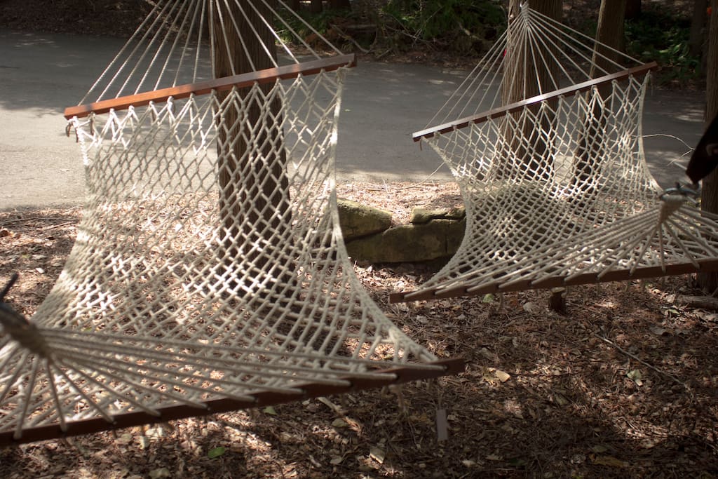 Hammocks in forest