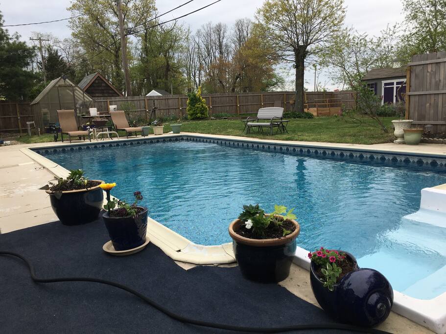 Heated salt water pool