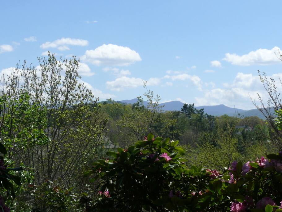 Lovely Blue Ridge Haven Near Ski Slopes! Apartments for Rent in