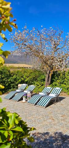 LEGADO DE ZABALA, CASA RURAL CON JARDÍN,Laguardia. gallery image 4