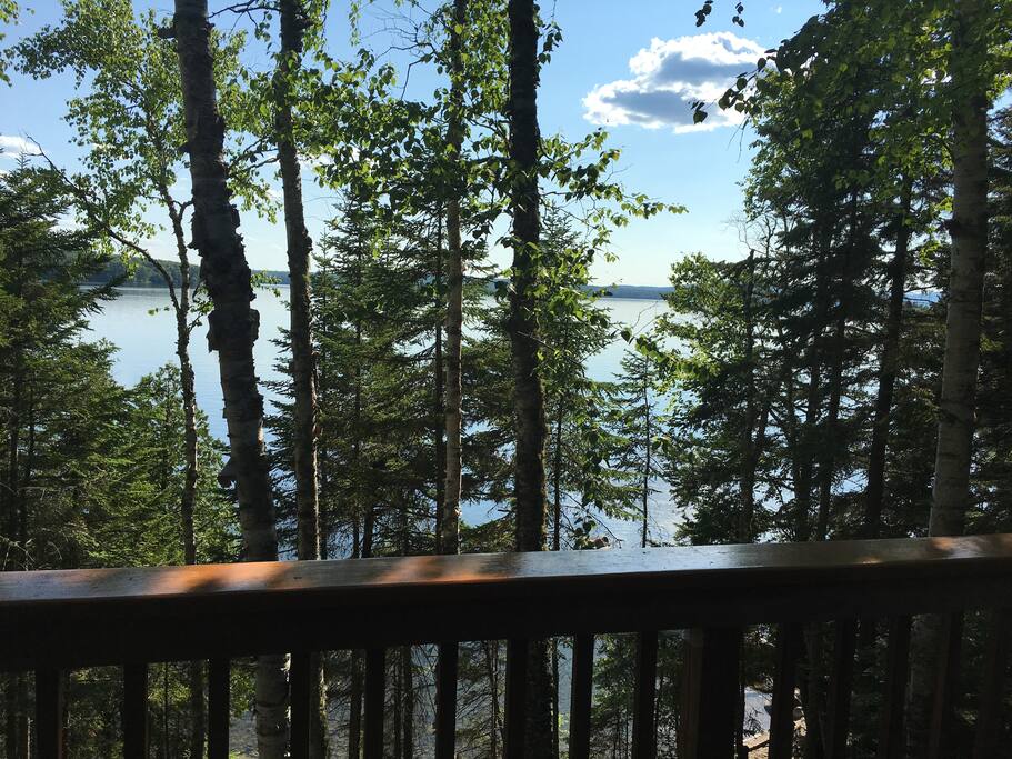 View from deck