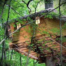 A treehouse constructed from wood is nestled among lush green foliage. Natural light filters through the windows, highlighting the structure's elevated design. A thatched roof adds to the rustic charm, while surrounding trees create a serene, wooded environment.
