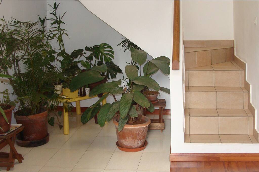 Entrée