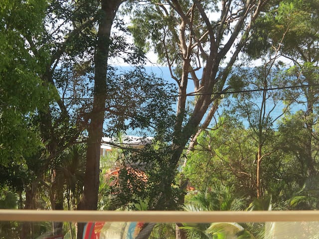 Large Apartment, Little Cove