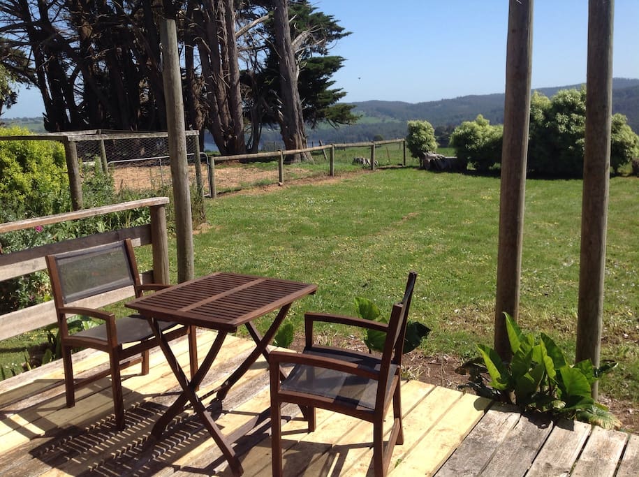 Bunyip state forest view