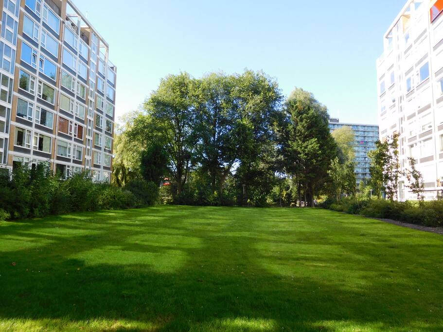 Bossen, parken en 2 winkelcentra op enkele meters loopafstand. Kijkduin, het strand, op slechts 1.8 km afstand