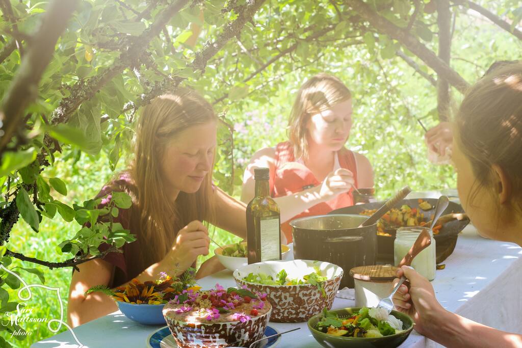 Summertime the dining table is under the apple trees