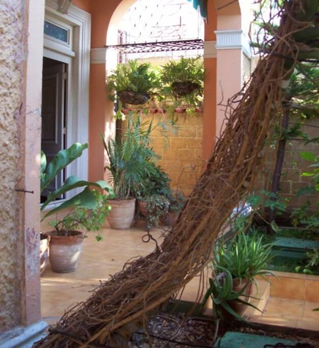 Hall entrance with plants