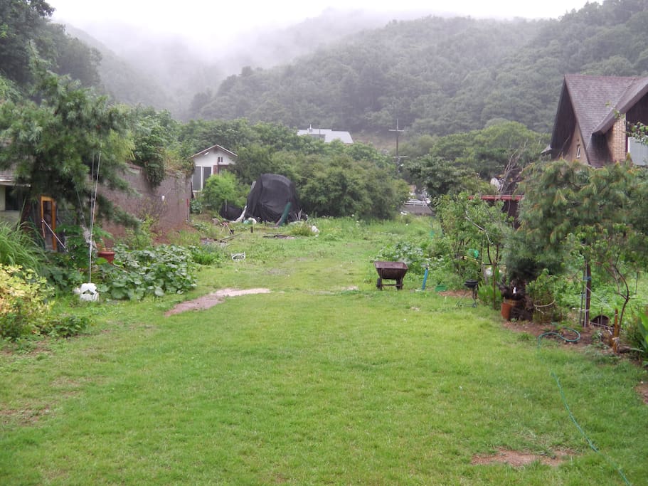 비온 후 After raining view of ground