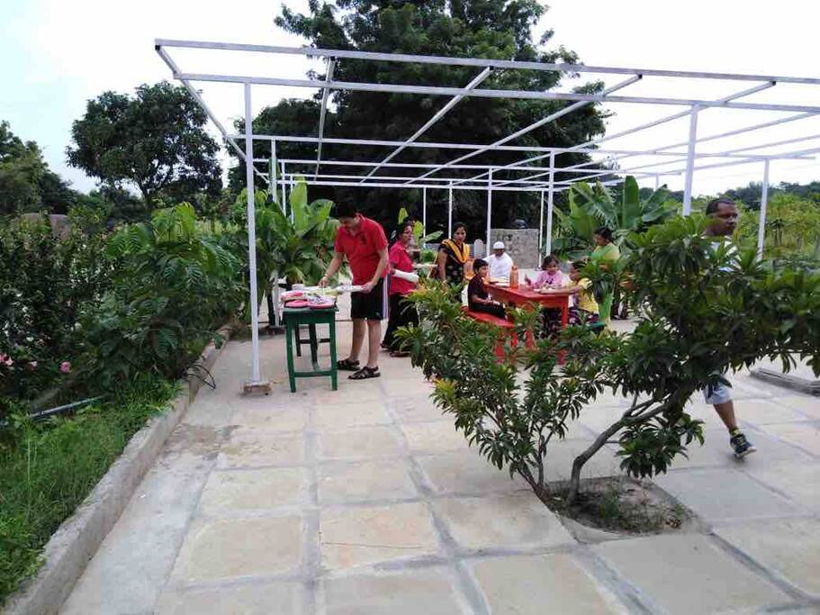 BBQ and Grill