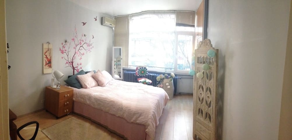 Entire apt perfect location