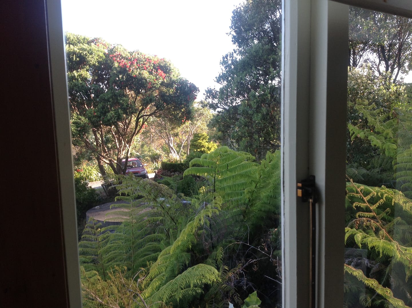 A Bush Cottage 5