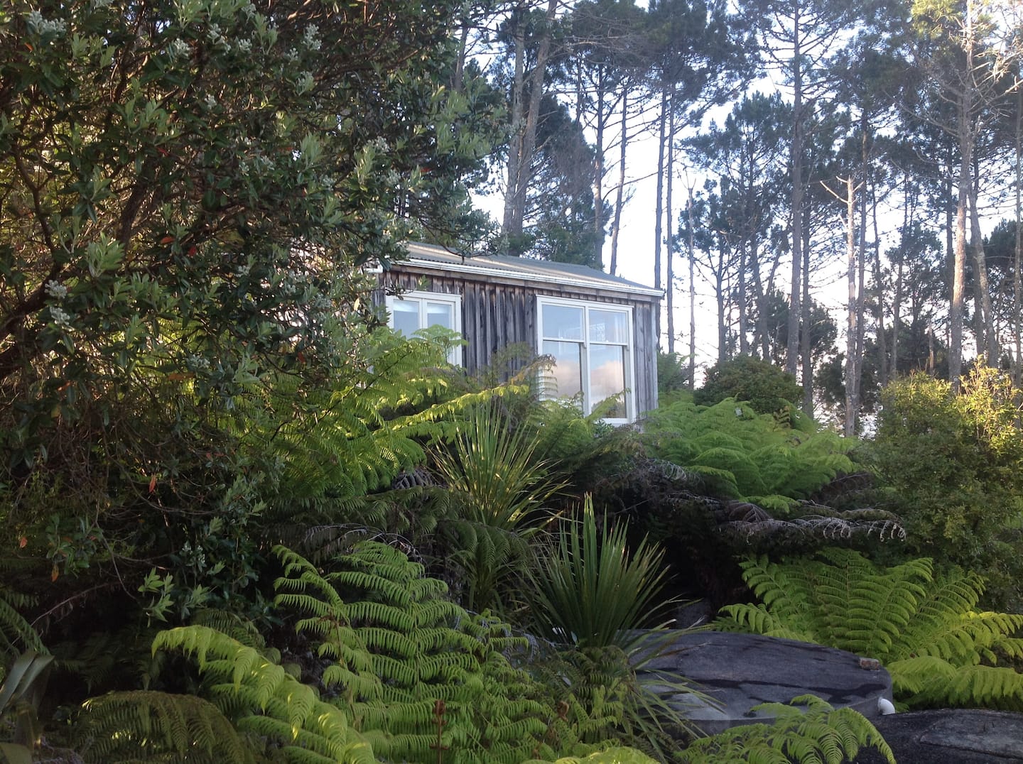 A Bush Cottage 2
