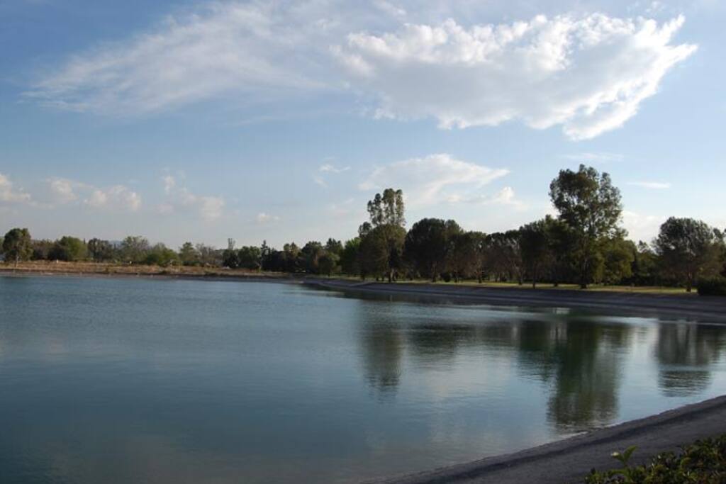 Lago