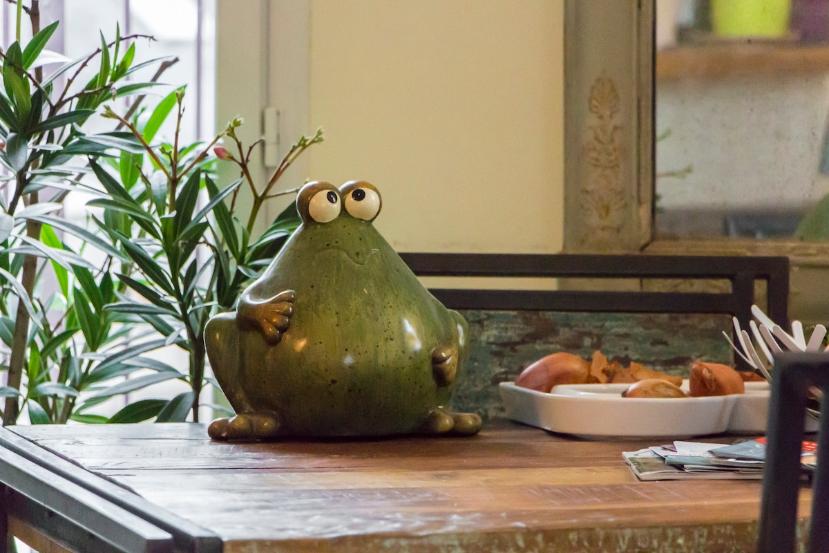 A decorative frog figurine sits on a wooden table, surrounded by plants. A white dish containing pastries is placed nearby, enhancing the inviting feel of the space. Natural light filters in from a nearby window, adding brightness to the scene.