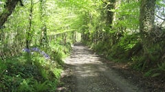 The+PondHouse+at+Saffronhill+Doneraile+Mallow+Cork