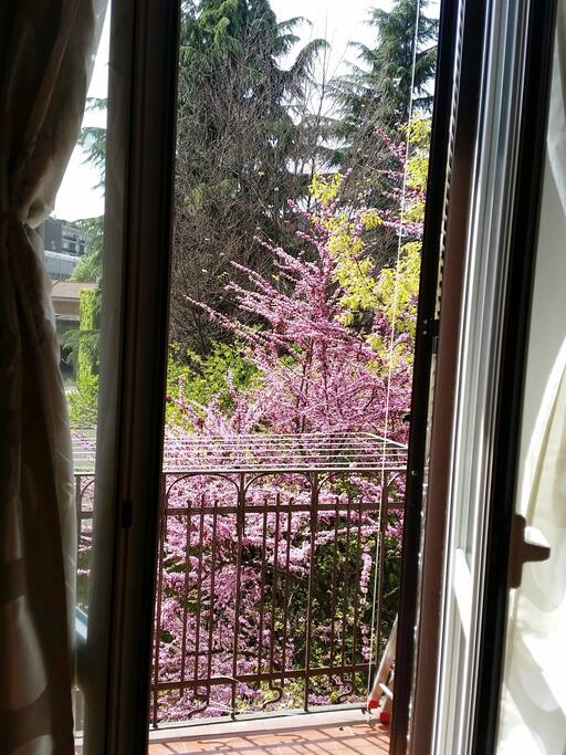 Vista Soggiorno