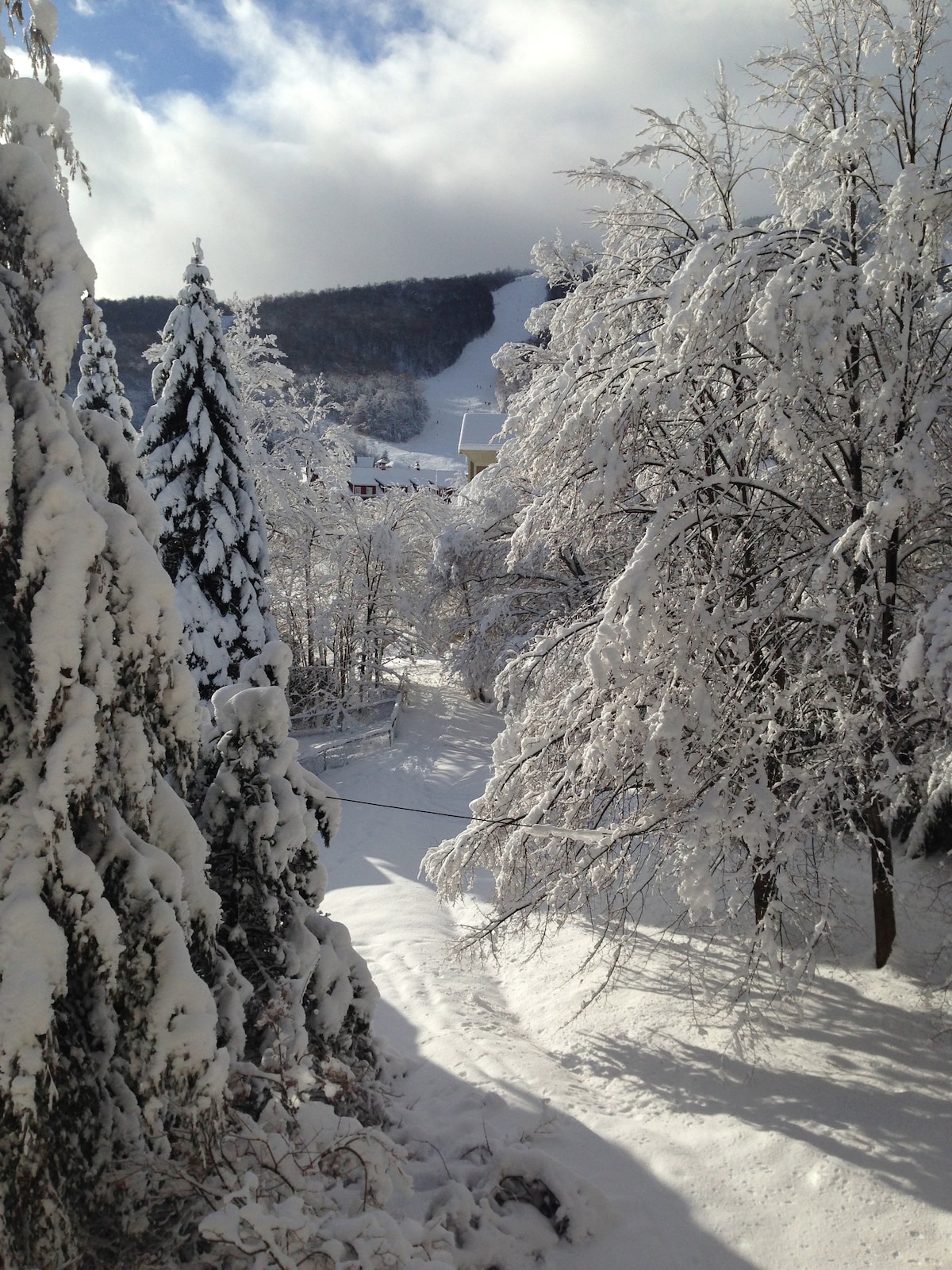 A winter landscape showcases snow-covered trees lining a path that leads toward the ski slopes. The scene captures a serene atmosphere with a backdrop of a mountain blanketed in fresh snow, under a partly cloudy sky.