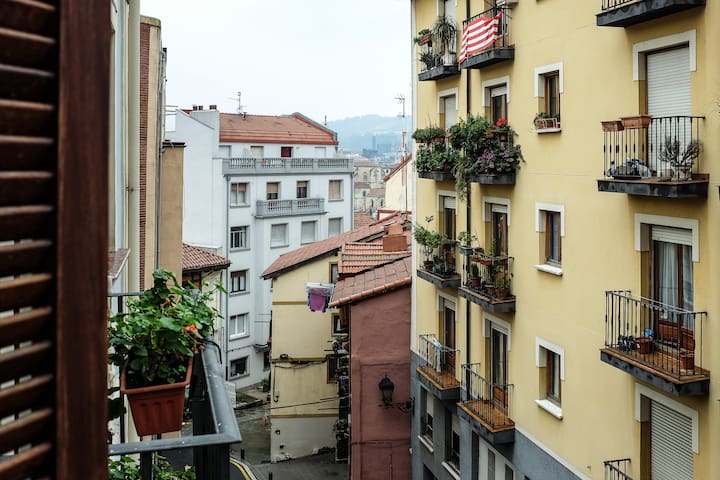 Cozy room to Old Town. Optional garage10€/day
