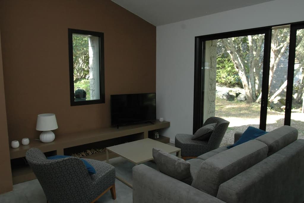 SEJOUR / SALON / TV