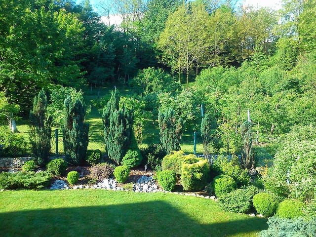An oasis in the city