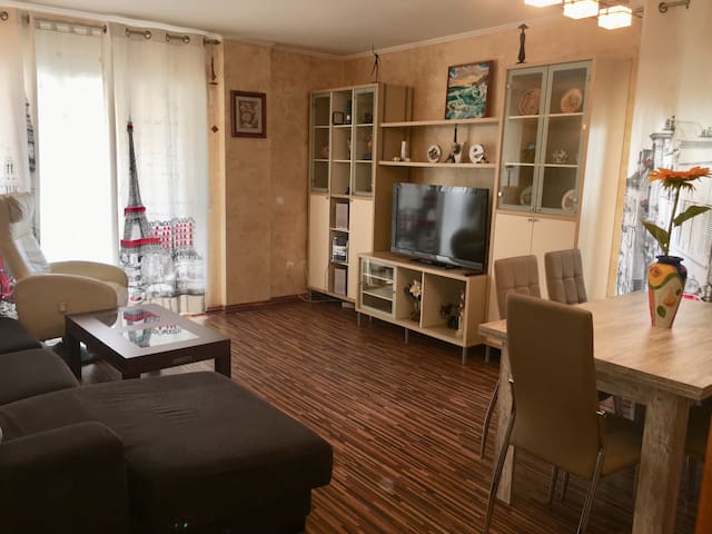 Cosy apartment in the centre of the town