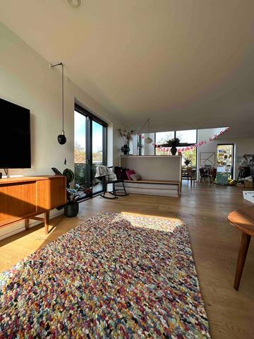 Unique Architect-Designed Home close to CityCentre gallery image 5