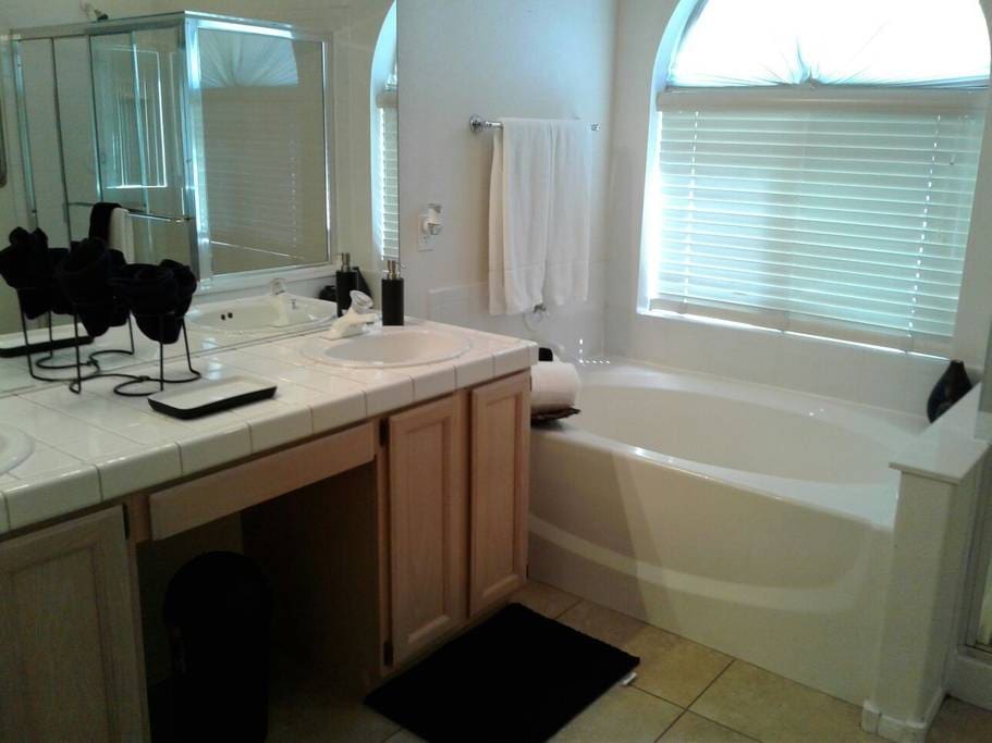 Master Bathroom Bathtub