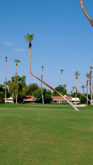 Ranchos Las Palmas Country Club is right outside our rear door