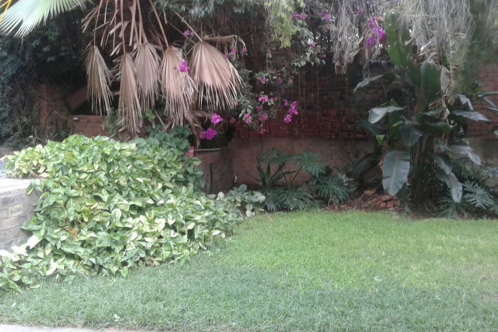 garden near braai area