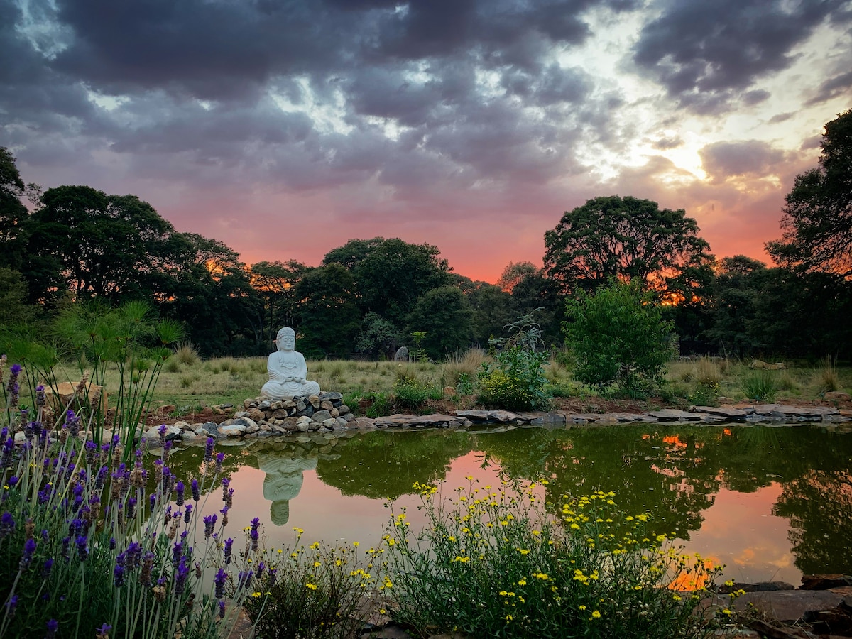 A serene outdoor setting features a white Buddha statue positioned near a tranquil pond, reflecting the colorful sky at sunset. Surrounding the pond, lush greenery and wildflowers contribute to a peaceful environment, complemented by lavender blooming nearby.