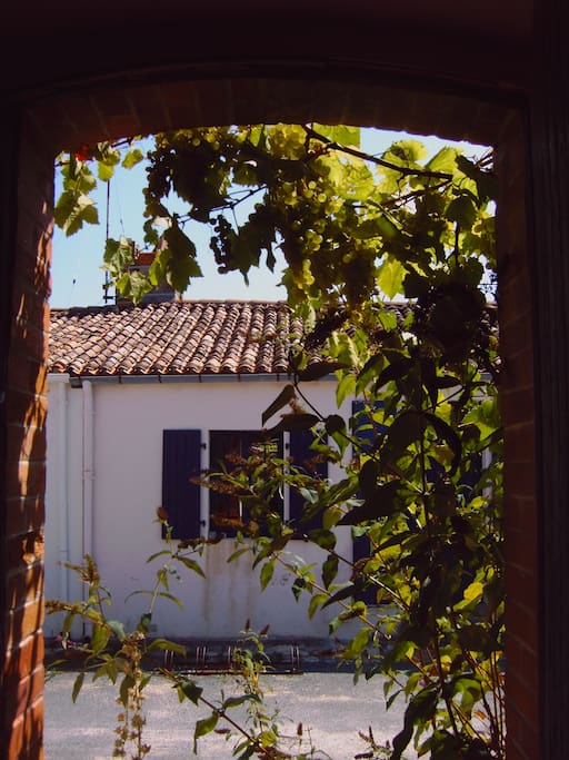 vue de la chambre 2