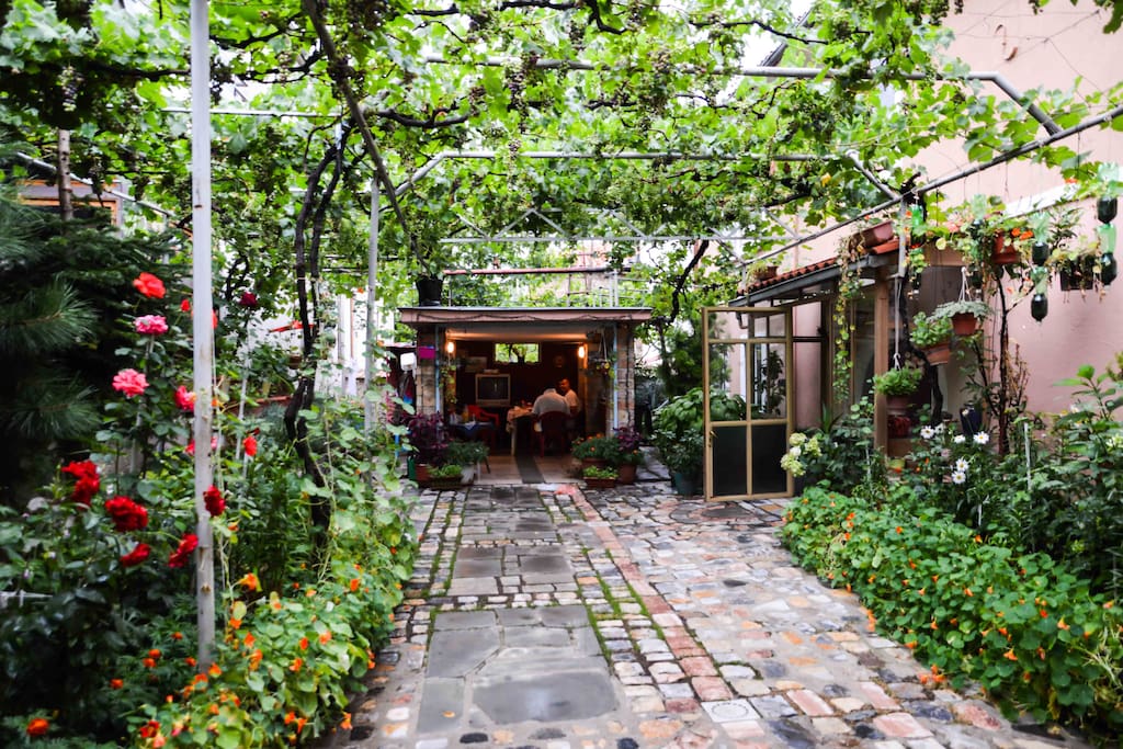 House Garden