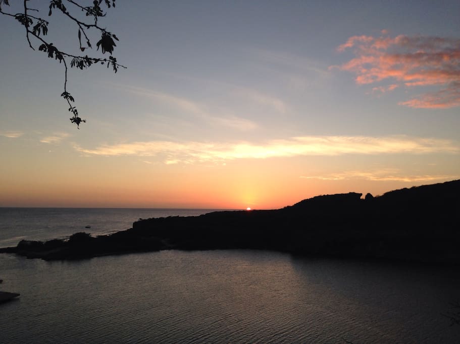 A stunning sunset viewed from our garden