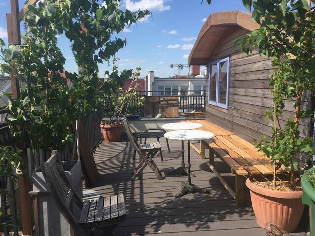 One in a Million Penthouse with Rooftop Garden gallery image 2