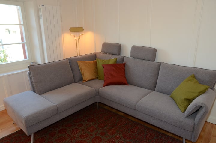 Historical House (2 Bathrooms) In The City Center - Basel