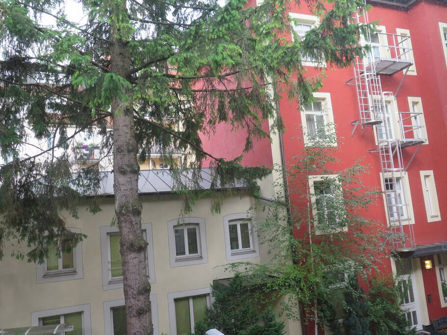 View from outside the window