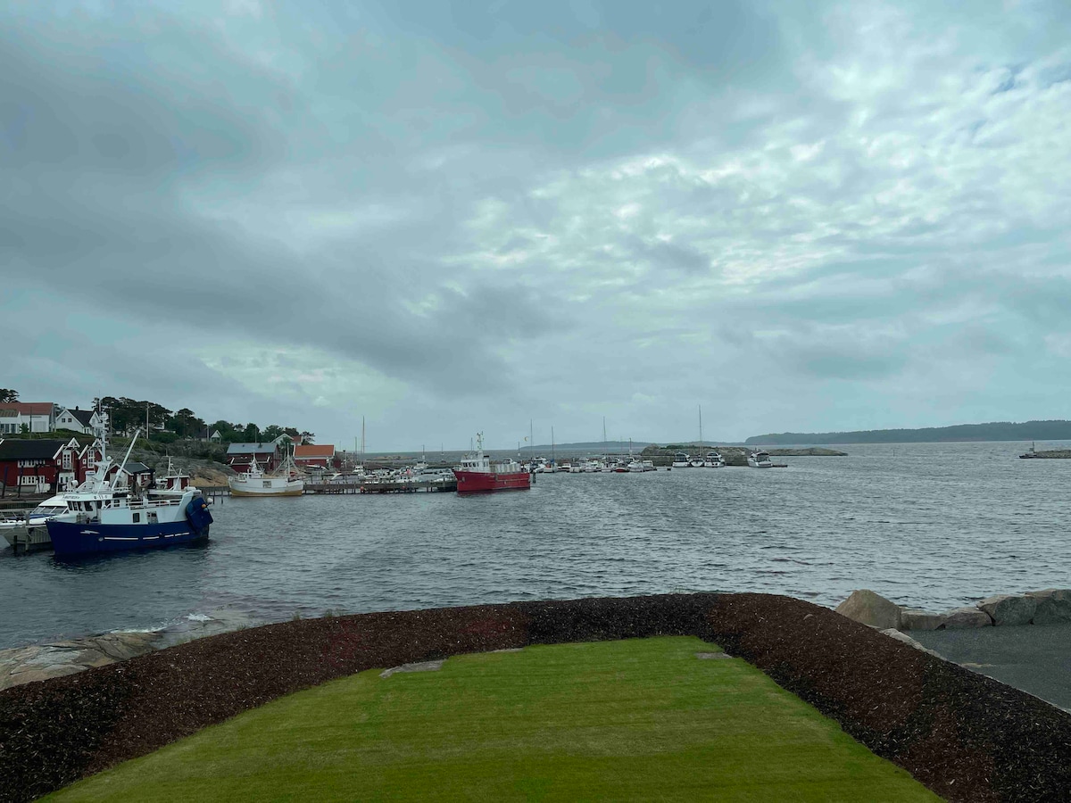 A serene waterfront view showcases a harbor filled with various boats, including fishing vessels and leisure crafts. The scene features a gentle sea reflecting the overcast sky, with grassy areas leading down to the water, enhancing the tranquil atmosphere.